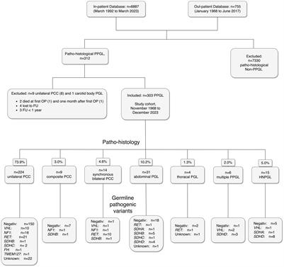 Metastatic disease and major adverse cardiovascular events preceding diagnosis are the main determinants of disease-specific survival of pheochromocytoma/paraganglioma: long-term follow-up of 303 patients